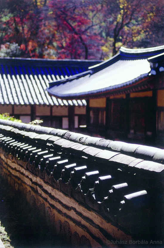 korean image