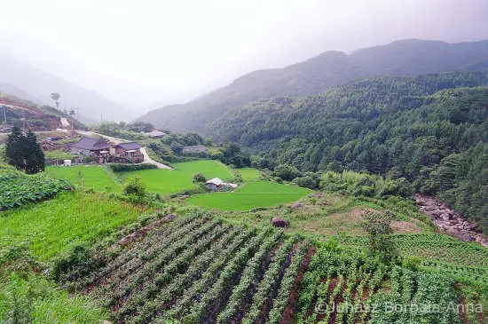 Chirisan korean image